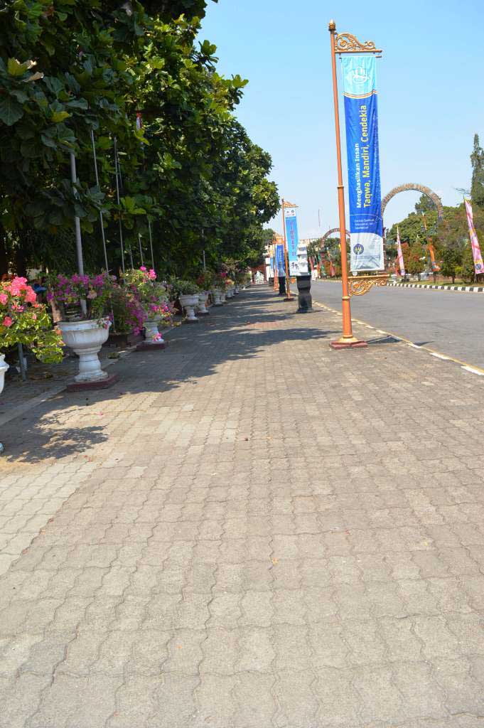 Pedestrian path policy on campus green uny